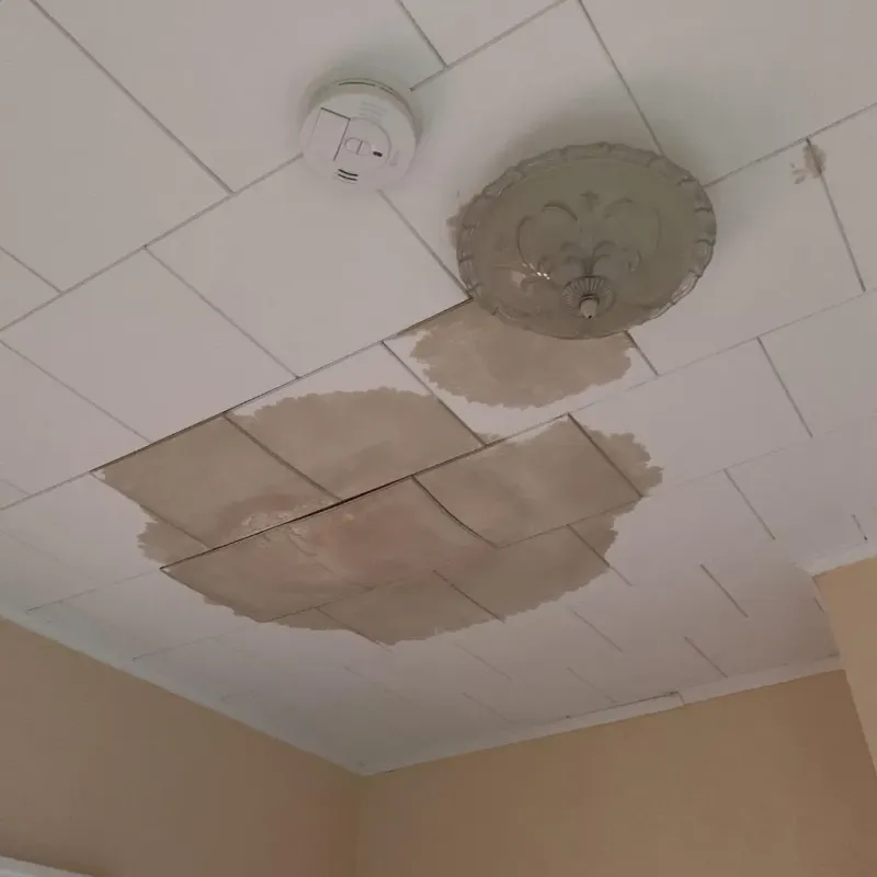 Ceiling Water Damage Repair in Culpeper County, VA