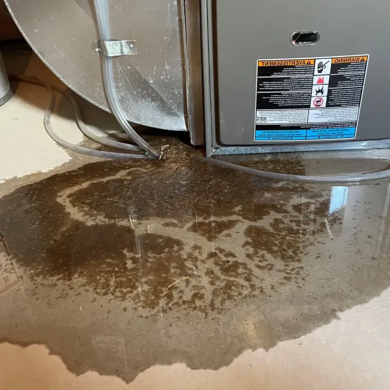 Pipe Burst and Leak Restoration in Culpeper County, VA
