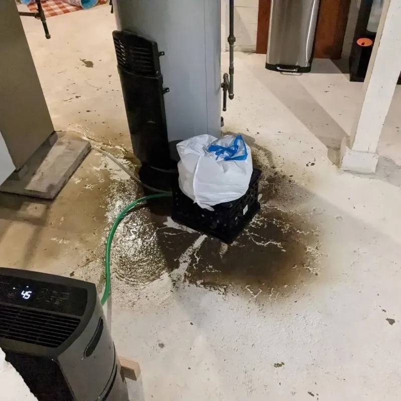 Sewage Backup Cleanup Service in Culpeper County, VA